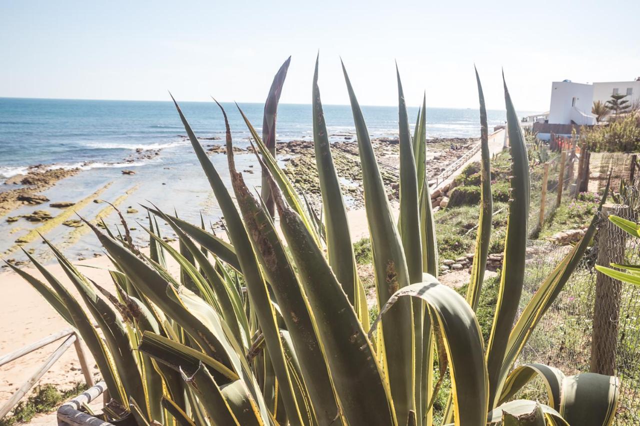 Duplex Sereno 7 - Piscina, Garaje, Jardin Y Playa Los Canos De Meca Kültér fotó